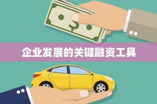 紫金企业发展的关键融资工具