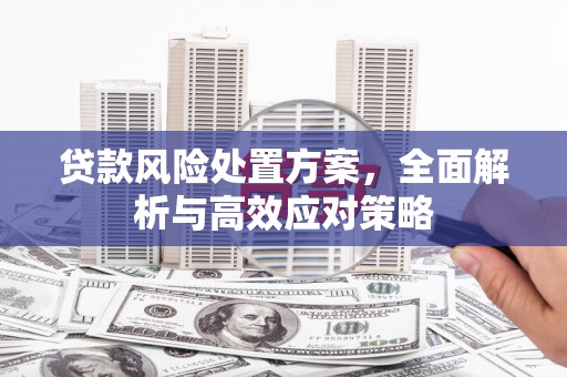 紫金贷款风险处置方案，全面解析与高效应对策略