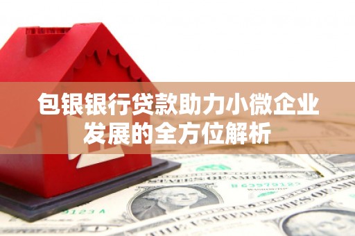 紫金包银银行贷款助力小微企业发展的全方位解析