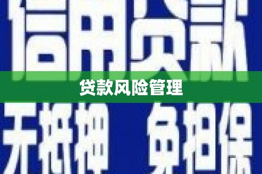 紫金贷款风险管理
