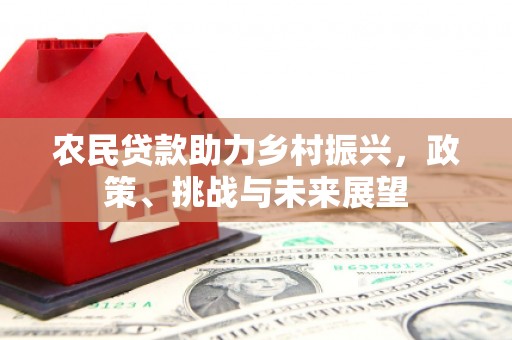 紫金农民贷款助力乡村振兴，政策、挑战与未来展望