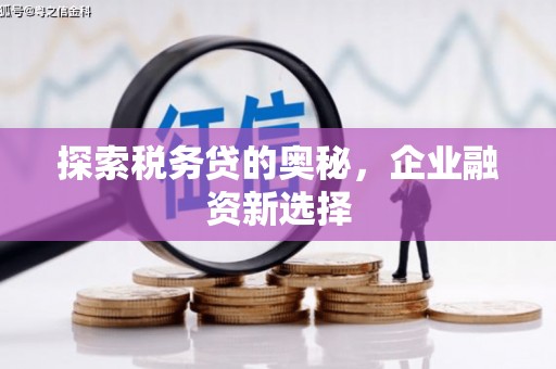 紫金探索税务贷的奥秘，企业融资新选择