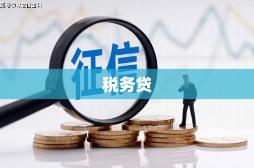 紫金税务贷