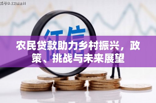 紫金农民贷款助力乡村振兴，政策、挑战与未来展望