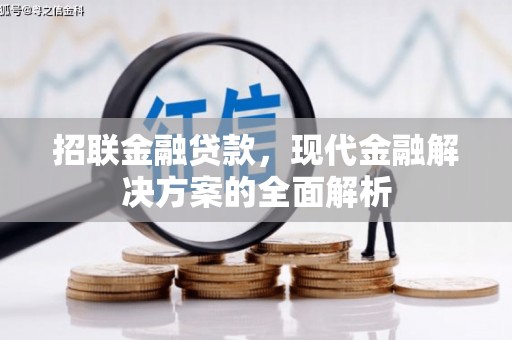 紫金招联金融贷款，现代金融解决方案的全面解析