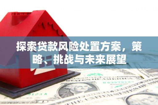 紫金探索贷款风险处置方案，策略、挑战与未来展望