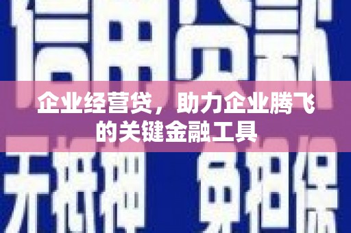 紫金企业经营贷，助力企业腾飞的关键金融工具