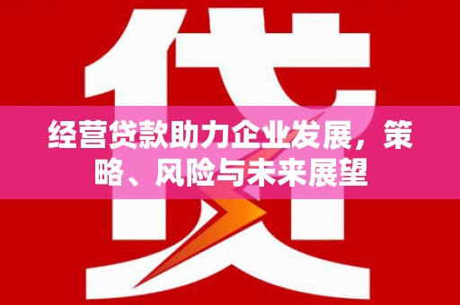 紫金经营贷款助力企业发展，策略、风险与未来展望