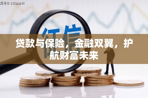 紫金贷款与保险，金融双翼，护航财富未来