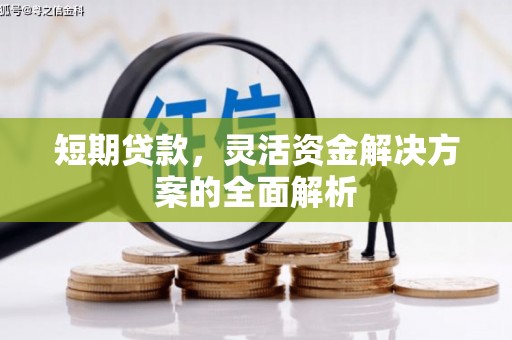 紫金短期贷款，灵活资金解决方案的全面解析