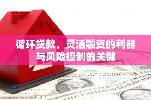 紫金循环贷款，灵活融资的利器与风险控制的关键