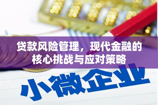 紫金贷款风险管理，现代金融的核心挑战与应对策略