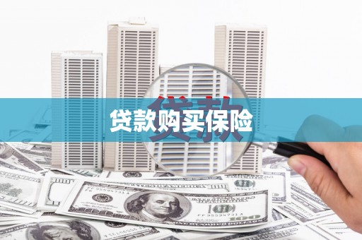 紫金贷款购买保险