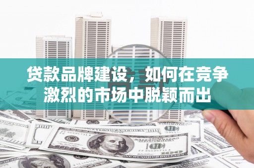 紫金贷款品牌建设，如何在竞争激烈的市场中脱颖而出