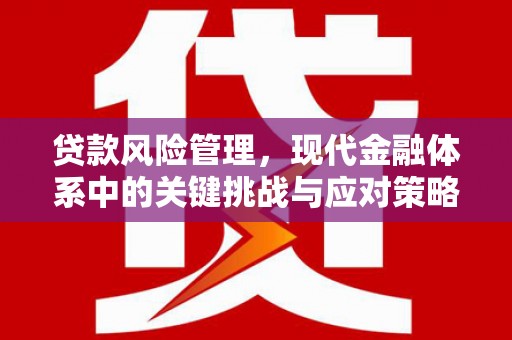 紫金贷款风险管理，现代金融体系中的关键挑战与应对策略