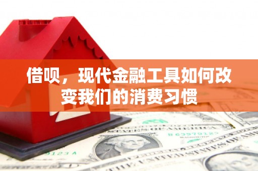 紫金借呗，现代金融工具如何改变我们的消费习惯