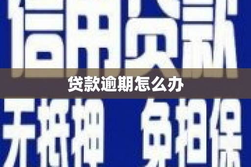 紫金贷款逾期怎么办