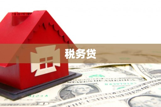 紫金税务贷