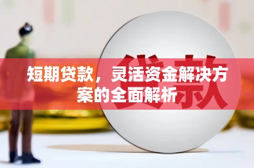 紫金短期贷款，灵活资金解决方案的全面解析