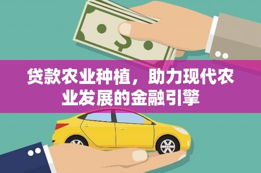 紫金贷款农业种植，助力现代农业发展的金融引擎