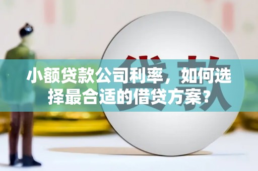 紫金小额贷款公司利率，如何选择最合适的借贷方案？