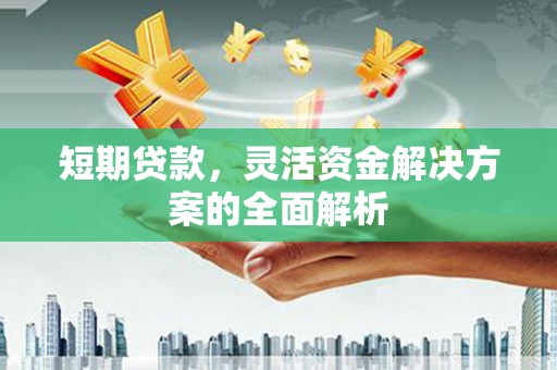 紫金短期贷款，灵活资金解决方案的全面解析
