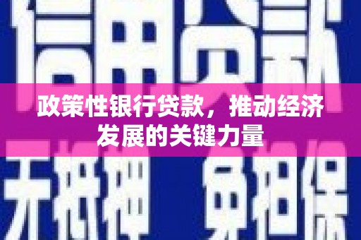 紫金政策性银行贷款，推动经济发展的关键力量