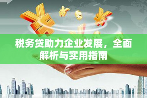 紫金税务贷助力企业发展，全面解析与实用指南