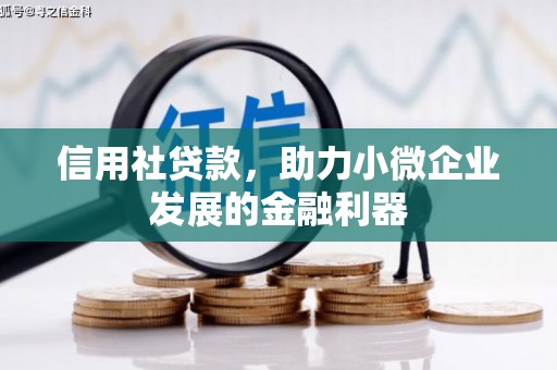 紫金信用社贷款，助力小微企业发展的金融利器