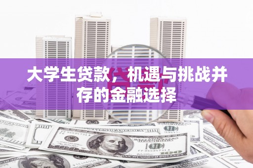 紫金大学生贷款，机遇与挑战并存的金融选择