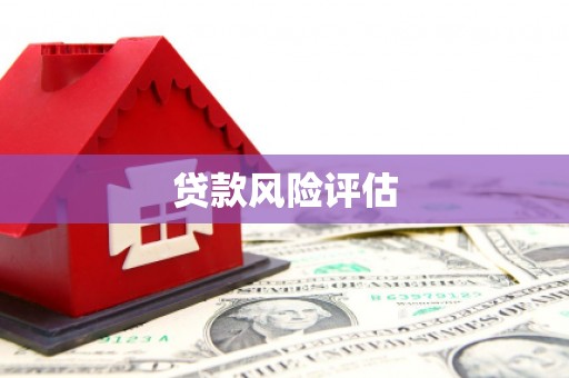 紫金贷款风险评估