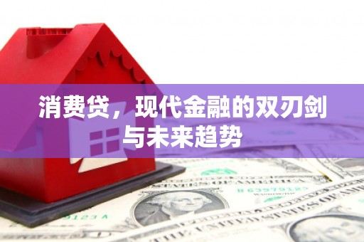 紫金消费贷，现代金融的双刃剑与未来趋势