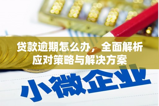 紫金贷款逾期怎么办，全面解析应对策略与解决方案