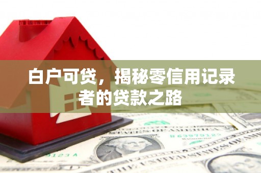 紫金白户可贷，揭秘零信用记录者的贷款之路