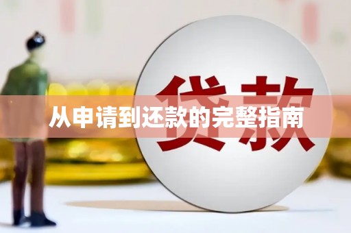 紫金从申请到还款的完整指南