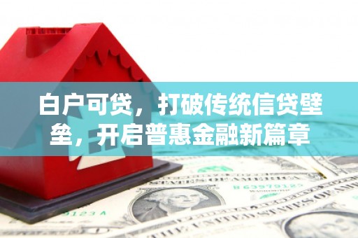 紫金白户可贷，打破传统信贷壁垒，开启普惠金融新篇章
