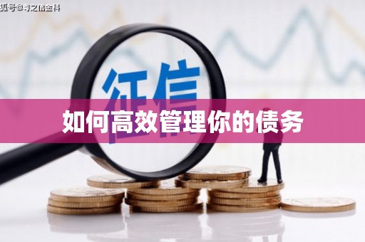 紫金如何高效管理你的债务
