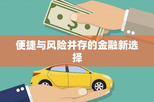 紫金便捷与风险并存的金融新选择