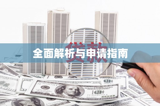 紫金全面解析与申请指南