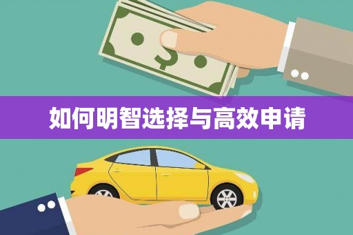 紫金如何明智选择与高效申请