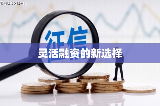 紫金灵活融资的新选择