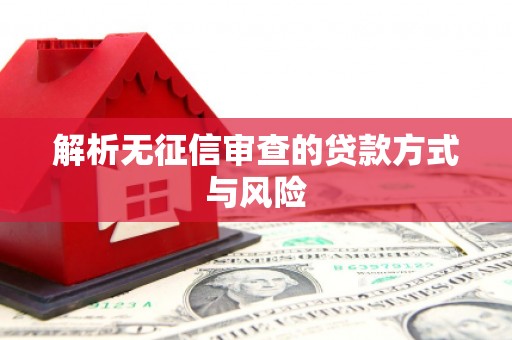 紫金解析无征信审查的贷款方式与风险