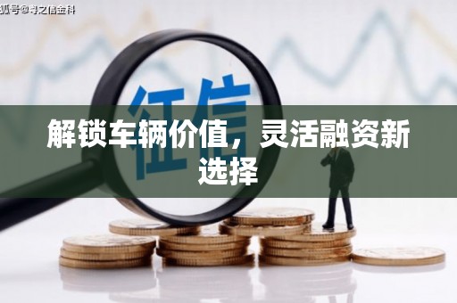 紫金解锁车辆价值，灵活融资新选择
