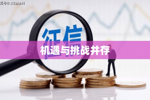 紫金机遇与挑战并存