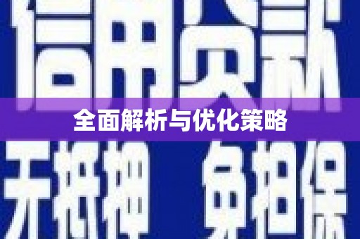 紫金全面解析与优化策略