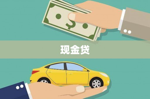 紫金现金贷
