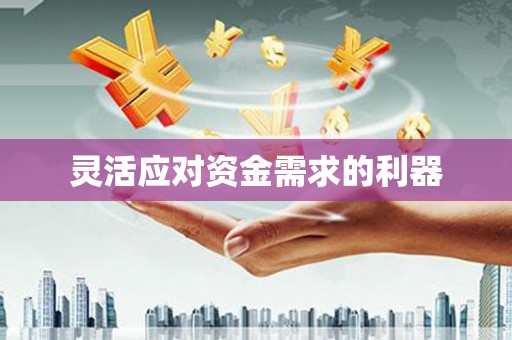紫金灵活应对资金需求的利器