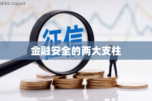 紫金金融安全的两大支柱