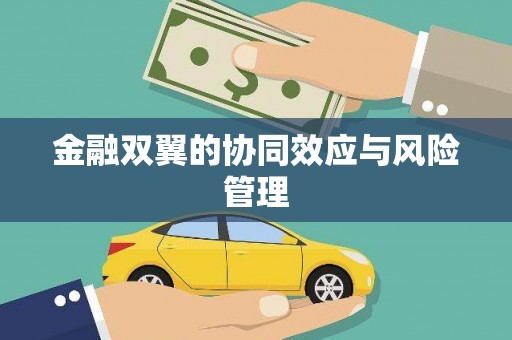 紫金金融双翼的协同效应与风险管理