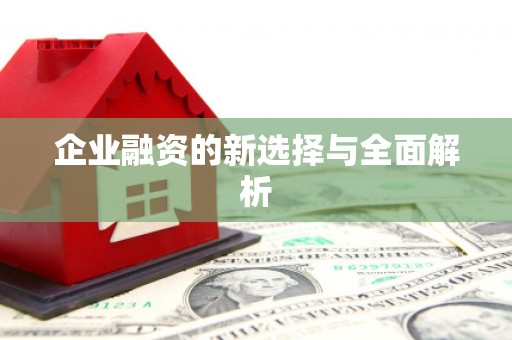 紫金企业融资的新选择与全面解析